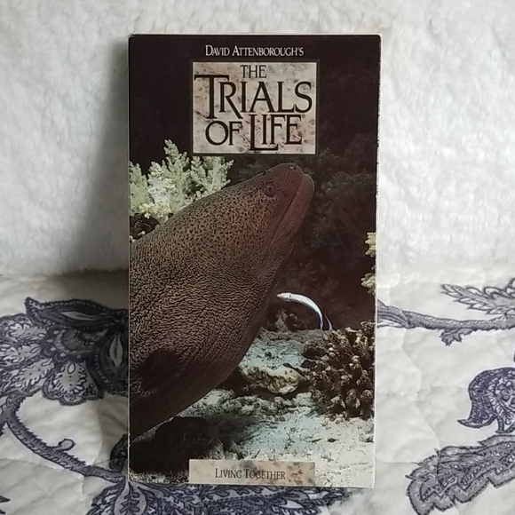 Vintage 1991 David Attenborough's "The Trials of Life" Time Life 12 VHS Box Set - Picture 10 of 15
